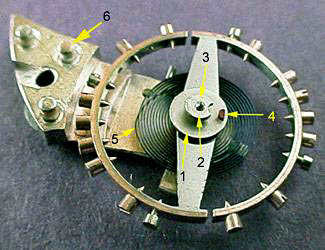 Watch Glossary Balance Screws Details